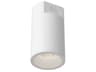 Lorna White Cylinder Flush Mount