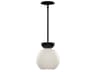 Arcadia 1-Light Black Globe Mini Pendant