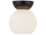Arcadia 1-Light Black Globe Semi Flush Mount