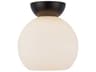 Arcadia 1-Light Black Globe Semi Flush Mount