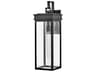 Cole 1-Light Outdoor Wall Light