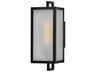 Halden 1-Light Outdoor Wall Light