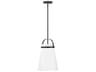 Tori 1-Light Black Mini Pendant