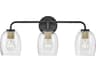 Percy 3-Light Black Vanity Light