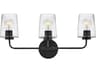 Kline 3-Light Black Vanity Light
