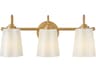 Honey 3-Light Distressed Brass Vanity Light