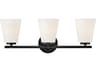 Bri 3-Light Black Vanity Light
