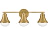 Haddie 3-Light Lacquered Brass Vanity Light