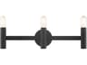 Copenhagen 3-Light Black Vanity Light