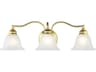 Essex 3-Light Polished Brass Glass Vanity Light