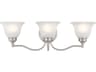 Essex 3-Light Brushed Nickel Glass Vanity Light