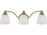 Somerville 3-Light Antique Brass Glass Vanity Light