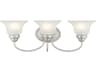 Edgemont 3-Light Brushed Nickel Glass Vanity Light