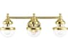 Oldwick 3-Light Polished Brass Glass Vanity Light
