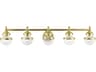 Oldwick 5-Light Polished Brass Glass Vanity Light