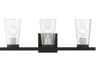 Cityview 3-Light Black Brushed Nickel Glass Vanity Light