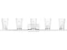 Cityview 5-Light Polished Chrome Glass Vanity Light