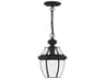 Monterey Outdoor Hanging Light