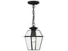Westover 1 - Light Outdoor Hanging Light