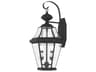 Georgetown 2 - Light Outdoor Wall Light