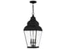 Exeter 3 - Light Outdoor Hanging Light