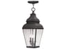 Exeter 3 - Light Outdoor Hanging Light