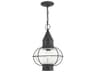 Newburyport 1 - Light Outdoor Hanging Light