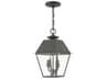 Wentworth 2 - Light Outdoor Hanging Light