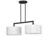 Meridian 2-Light Black Drum Island Pendant