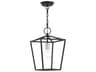 Devone 1-Light Black Lantern Mini Pendant