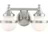 Oldwick 2-Light Brushed Nickel Glass Vanity Light