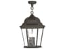 Hamilton 3 - Light Outdoor Hanging Light