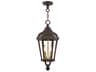 Morgan 2 - Light Outdoor Hanging Light