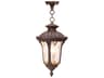Oxford 1 - Light Outdoor Hanging Light