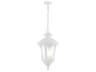 Oxford 3 - Light Outdoor Hanging Light