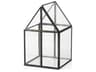 Sikes (Small) 6L x 6W x 10H Glass Terrarium