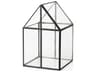 Sikes (Medium) 8L x 8W x 13H Hut Terrarium W/Glass Base