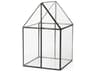 Sikes (Large) 10L x 10W x 16H Hut Terrarium W/Glass Base
