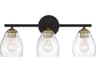 Winsley 3-Light Coal Stained Brass Black Glass Vanity Light