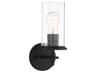 Haisley 1-Light Coal Black Glass Wall Sconce