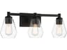 Clarity 3-Light Coal Black Vanity Light