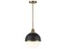 Vorey Pendant Light in Aged Brass and Black