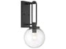 Wenston 1-Light Outdoor Wall Light