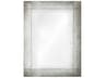 Antiqued Rectangular Wall Mirror