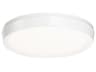 Argo LED Flush Mount Ceiling Light in White