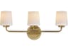 Durham 3-Light Natural Aged Brass Vanity Light