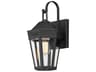 Oxford 1-Light Outdoor Wall Light