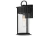 Windsor 1-Light Outdoor Wall Light