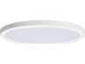 Chip 1- Light White LED Round Flush Mount
