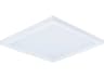 Wafer Outdoor Ceiling Light